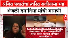 Parth pawar Land Scam : 'अजित पवारांचा राजीनामा घ्या', अंजली दमानियांचा घणाघात