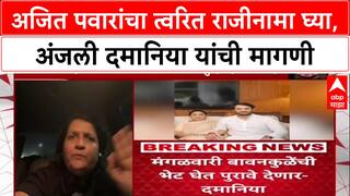 Parth pawar Land Scam : 'अजित पवारांचा राजीनामा घ्या', अंजली दमानियांचा घणाघात