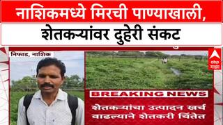 Farmer Distress: नाशिकमध्ये मिरची पाण्याखाली, शेतकऱ्यांवर दुहेरी संकट