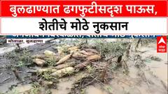 Maharashtra Rains: Buldhana जिल्ह्यात ढगफुटीसदृश पाऊस! शेती उद्ध्वस्त, जनजीवन विस्कळीत, 'मातोळा'ला फटका
