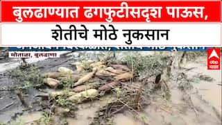 Maharashtra Rains: Buldhana जिल्ह्यात ढगफुटीसदृश पाऊस! शेती उद्ध्वस्त, जनजीवन विस्कळीत, 'मातोळा'ला फटका