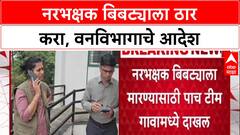 Shoot At Sight: 'नरभक्षक बिबट्याला ठार करा', Forest Department चे आदेश; Pimparakhed मध्ये 5 पथके