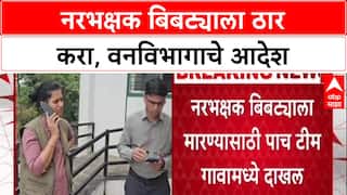 Shoot At Sight: 'नरभक्षक बिबट्याला ठार करा', Forest Department चे आदेश; Pimparakhed मध्ये 5 पथके