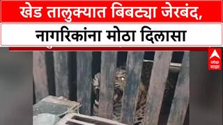 Leopard Captured: खेड तालुक्यातील वाळदमध्ये बिबट्या अखेर जेरबंद; नागरिकांचा सुटकेचा निश्वास
