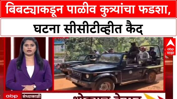 Tiger Attack : बिबट्याकडून पाळीव कुत्र्यांचा फडशा, घटना सीसीटीव्हीत कैद