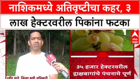 Nashik Rains : 'द्राक्षाचे Cost of Culture हायर साईडला', सततच्या पावसाने बागायतदार संकटात