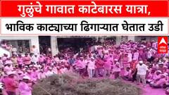 Purandar Yatra : गुळुंचे गावात काटेबारस यात्रा, भाविक काट्याच्या ढिगाऱ्यात घेतात उडी