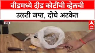 Wildlife Crime: सोन्याहून महाग 'व्हेलची उलटी', दीड कोटींच्या Ambergris सह दोघे Beed मध्ये अटकेत