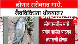 Biodiversity Threat: 'लोणार सरोवराचं अस्तित्व धोक्यात,' सांडपाण्यामुळे pH बदलला, मासे आढळल्याने खळबळ