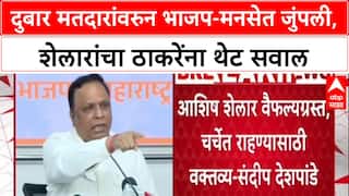 Duplicate Voters : 'तुम्हाला दुबार मतदार केवळ Hindu-मराठीच दिसतात का?', Ashish Shelar यांचा Raj Thackeray यांना सवाल.