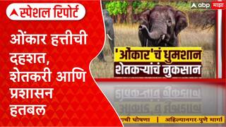 Sindhudurg-Goa Elephant : ओंकार हत्तीची दहशत, शेतकरी आणि प्रशासन हतबल Special Report