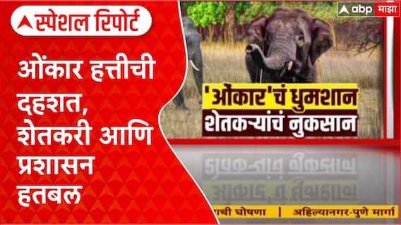 Sindhudurg-Goa Elephant : ओंकार हत्तीची दहशत, शेतकरी आणि प्रशासन हतबल Special Report