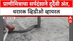 ViralVideo: 'साप पकडतानाच हाताला चावला', प्राणीमित्र Sameer Ingale यांचा सर्पदंशाने मृत्यू, थरार कॅमेऱ्यात कैद