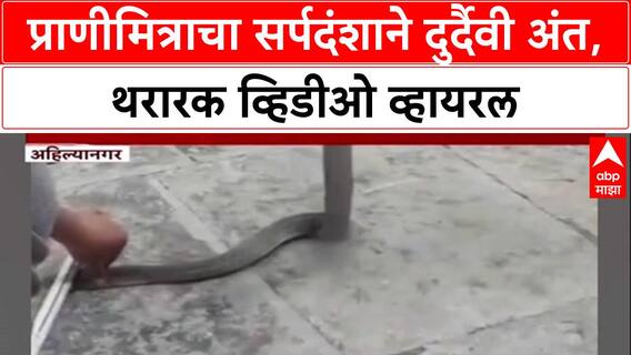 ViralVideo: 'साप पकडतानाच हाताला चावला', प्राणीमित्र Sameer Ingale यांचा सर्पदंशाने मृत्यू, थरार कॅमेऱ्यात कैद