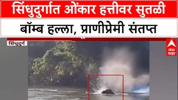 Animal Cruelty: 'ओंकार हत्तीवर सुतळी बॉम्बने हल्ला', Sindhudurg मधील संतापजनक प्रकाराचा व्हिडिओ व्हायरल