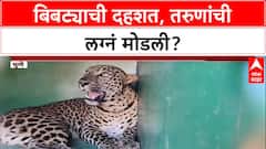 Leopard Menace: 'बिबट्याच्या दहशतीमुळे स्थळ नाकारतायत', Pune जिल्ह्यातील तरुणांची लग्न रखडली