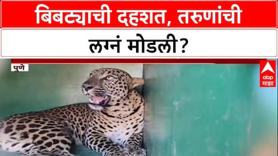 Leopard Menace: 'बिबट्याच्या दहशतीमुळे स्थळ नाकारतायत', Pune जिल्ह्यातील तरुणांची लग्न रखडली