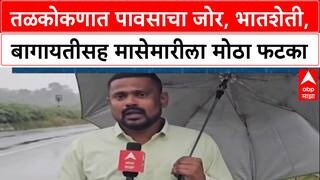 Rain Fury: तळकोकणात पावसाचा कहर, कापलेली भातशेती पूर्णपणे वाया, शेतकरी हवालदिल!