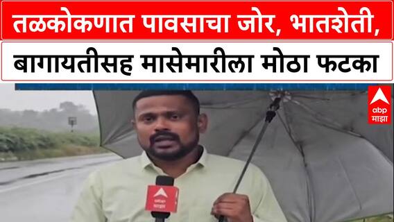 Rain Fury: तळकोकणात पावसाचा कहर, कापलेली भातशेती पूर्णपणे वाया, शेतकरी हवालदिल!