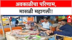 Price Hike: खवय्यांच्या खिशाला मोठी कात्री, Paplet 2000 रुपयांवर, सुरमईच्या दरातही मोठी वाढ!