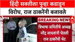 Language Politics: 'पहिली ते चौथी Hindi ची सक्ती नको', Raj Thackeray यांनी Narendra Jadhav यांना ठणकावले