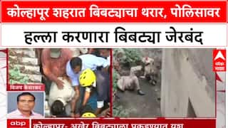 Kolhapur Leopard Attack: कोल्हापूर शहरात बिबट्याचा थरार, पोलिसावर हल्ला करणारा बिबट्या जेरबंद