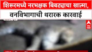 Leopard Encounter: अखेर शिरूरमध्ये नरभक्षक बिबट्या ठार, 'Forest Department'च्या टीमवर केला होता प्रतिहल्ला!