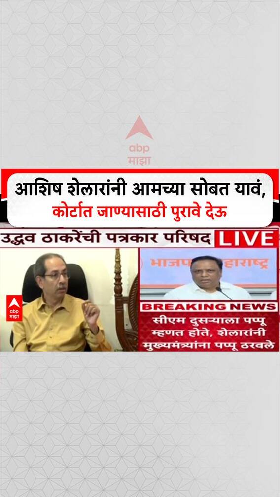 Uddhav Thackeray On Voter List : आशिष शेलारांनी आमच्या सोबत यावं, कोर्टात जाण्यासाठी पुरावे देऊ