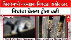 Pune Leopard Attack: शिरूरमध्ये नरभक्षक बिबट्या अखेर ठार, तिघांचा घेतला होता बळी