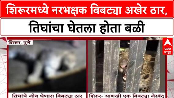 Pune Leopard Attack: शिरूरमध्ये नरभक्षक बिबट्या अखेर ठार, तिघांचा घेतला होता बळी