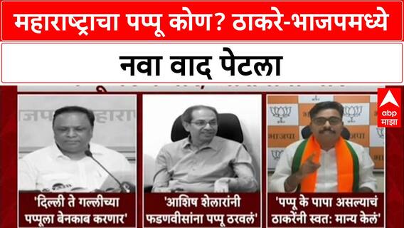 Pappu Politics: 'शेलारांनी नकळत फडणवीसांनाच पप्पू ठरवलं', Uddhav Thackeray यांचा भाजपला खोचक टोला
