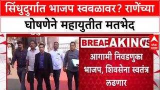 Mahayuti Rift: 'प्रत्येक कार्यकर्त्याची भावना स्वबळाची', Nitesh Rane यांचा Sindhudurg मध्ये नारा