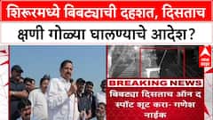 Shirur Leopard Attack: 'बिबट्या दिसल्यास जागेवरच शूट करा', वनमंत्री Ganesh Naik यांचे वक्तव्य