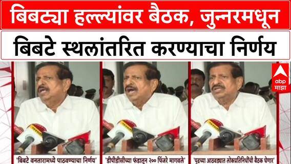 Leopard Attack: बिबट्या हल्ल्यांवर बैठक, जुन्नरमधून बिबटे स्थलांतरित करण्याचा निर्णय