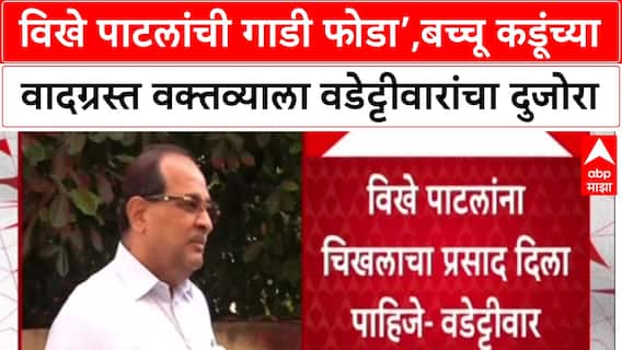 Vijay Waddettiwar On Vikhe Patil: विखे पाटलांची गाडी फोडा’,बच्चू कडूंच्या वादग्रस्त वक्तव्याला वडेट्टीवारांचा दुजोरा