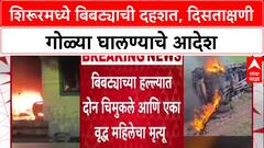 Leopard Attack: 'बिबट्या दिसताच गोळ्या घाला!', Pune जिल्ह्यातील Shirur मध्ये वनविभागाचे आदेश