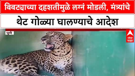 Leopard Menace: 'बिबट्या दिसताच गोळ्या घाला', Forest Minister Ganesh Naik यांचे थेट आदेश