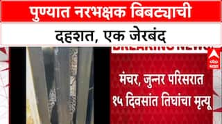 Pune Leopard Attack: 13 वर्षीय मुलाचा बळी गेल्यानंतर Manchar मध्ये एक बिबट्या जेरबंद