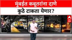 Pigeon Feeding Row: मुंबईत कबूतरांना दाणे टाकण्यावर निर्बंध, फक्त ४ ठिकाणी सकाळी ७ ते ९ परवानगी