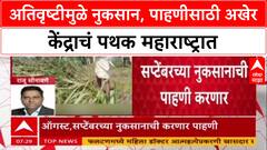 Crop Damage Survey: 'अखेर मुहूर्त सापडला!', अतिवृष्टीमुळे नुकसानीच्या पाहणीसाठी केंद्राचं पथक Maharashtra मध्ये दाखल