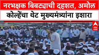 Leopard Attack: नरभक्षक बिबट्याची दहशत, अमोल कोल्हेंचा थेट मुख्यमंत्र्यांना इशारा