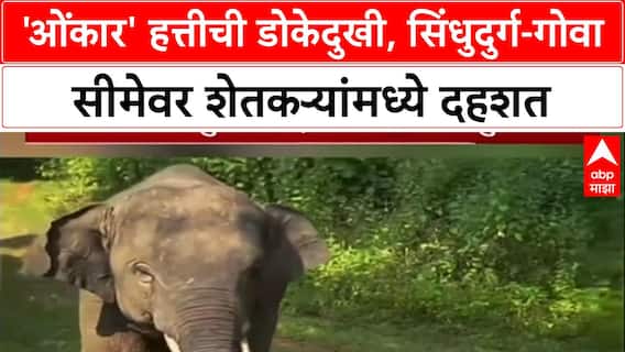 Human-Elephant Conflict: 'ओंकार' हत्तीसाठी सिंधुदुर्गात बॉम्ब, दांडक्याने मारहाण; Vantara मध्ये पाठवण्याचं षडयंत्र?