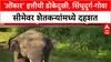 Human-Elephant Conflict: 'ओंकार' हत्तीसाठी सिंधुदुर्गात बॉम्ब, दांडक्याने मारहाण; Vantara मध्ये पाठवण्याचं षडयंत्र?