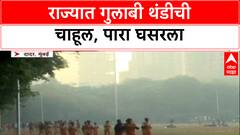 Winter Alert : मुंबईत रात्रीत पारा घसरला, हवामान खात्याकडून राज्यात थंडीचा जोर वाढण्याचा अंदाज