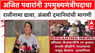 Anjali Damania PC Pune Land Scam 'अजित पवारांनी उपमुख्यमंत्रीपदाचा राजीनामा द्यावा',दमानियांची मागणी