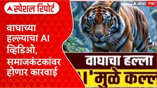 Tiger Fake Viral Video: वाघाच्या हल्ल्याचा AI व्हिडिओ, समाजकंटकांवर होणार कारवाई Special Report