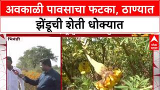 Unseasonal Rains: 'जवळजवळ दोन लाख रुपयांचं नुकसान झालंय', Thane जिल्ह्यातील शेतकऱ्याची व्यथा