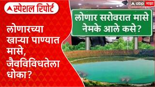 Lonar Lake Fish लोणारच्या खाऱ्या पाण्यात मासे नेमके आले कसे? जैवविविधतेला धोका? Special Report