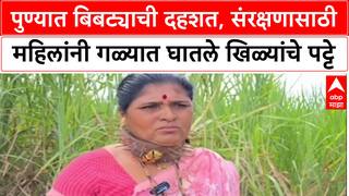 Leopard Terror Pune : पुण्यात बिबट्याची दहशत, संरक्षणासाठी महिलांनी गळ्यात घातले खिळ्यांचे पट्टे