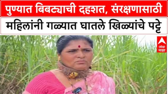 Leopard Terror Pune : पुण्यात बिबट्याची दहशत, संरक्षणासाठी महिलांनी गळ्यात घातले खिळ्यांचे पट्टे